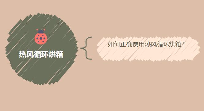 如何正确使用热风循环烘箱？